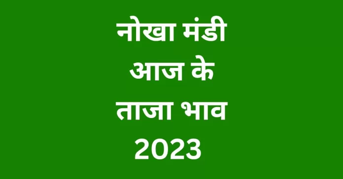 Nokha mandi bhav aaj ka today 29-08-2023, नोखा मंडी का ग्वार का भाव 2023