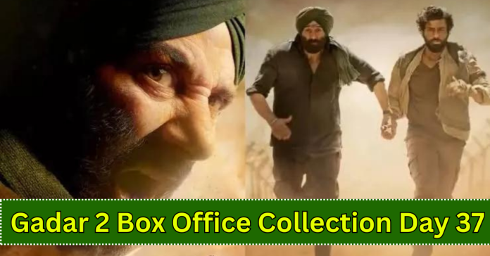 Gadar 2 Box Office Collection Day 37 Sacnilk Worldwide Collection, gadar 2 day 37 collection sacnilk in hindi, in india