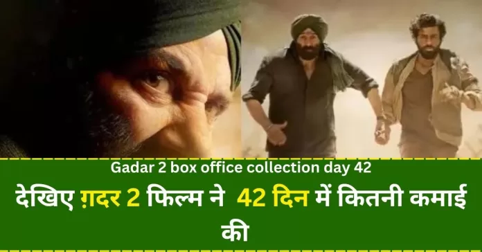 Gadar 2 Box Office Collection Day 42, gadar 2 day 42 collection sacnilk in hindi, in india worldwide collection गदर 2